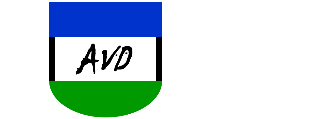 Alto Valle Deportes